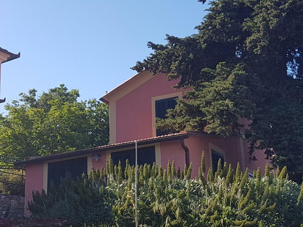 Villa Caterina Imperia Ngoại thất bức ảnh